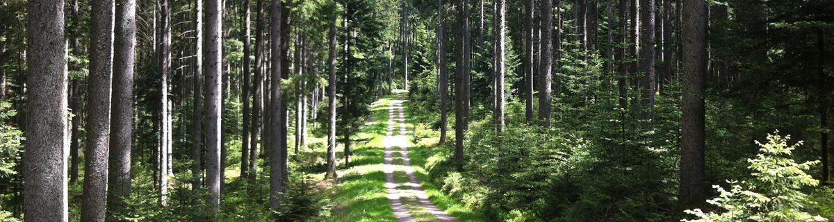 Schwarzwald Hotel mit Schwimmbad, Wanderhotel im Nordschwarzwald